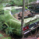 Illustration for article titled Massive Secret Mustang Junkyard Found In Rhode Island Forest
